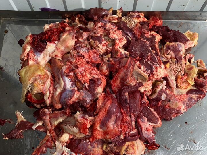 Мясо для собак