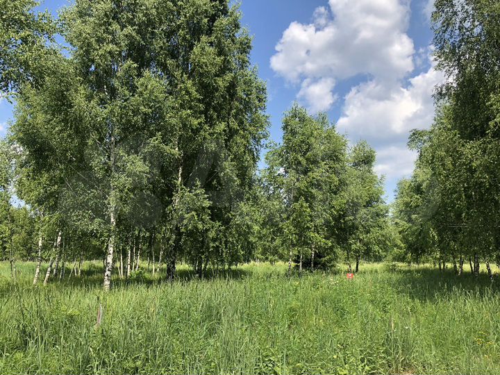 Участок 8 сот. (ИЖС)