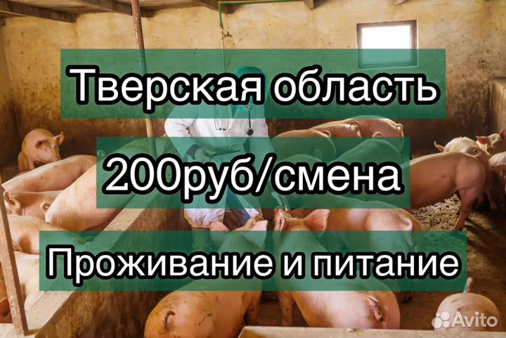 Оператор по уходу за животными Вахта с проживанием