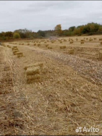 Солома в тюках