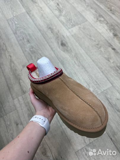 UGG Tazz - Chestnut оригинал