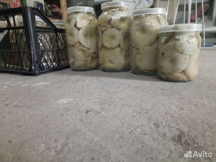 Грибы грузди соленые