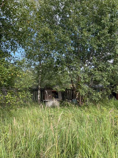 Участок 10 сот. (СНТ, ДНП)