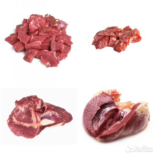 Натуральное питание для собак и кошек