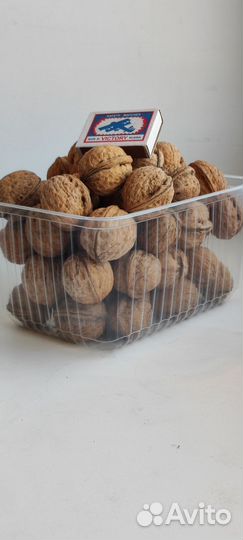 Орех грецкий