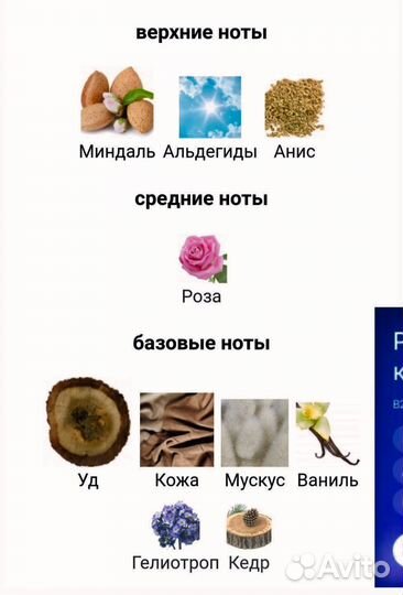 Stercus Orto Parisi на распив 10мл