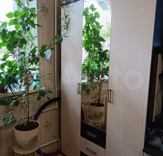 1-к. квартира, 26 м², 2/4 эт.