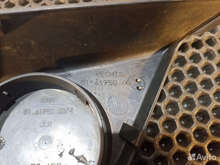 81619506070 Накладка двери правой Man TGL