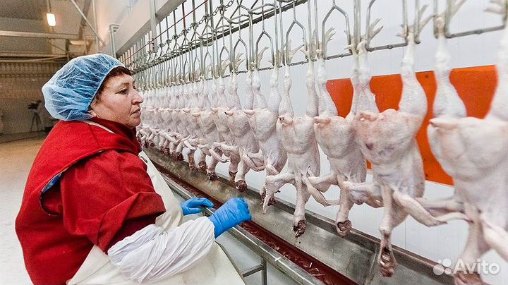 Оператор на бройлерную фабрику (Вахта)
