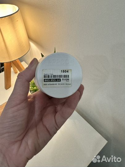 Искусственное растение Икеа IKEA Фейка