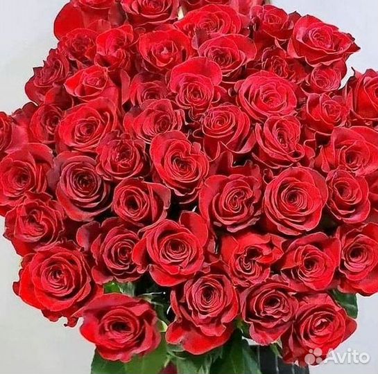 Букет роз 101 роза 51 роза