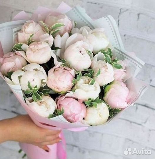 Пионы Букет пионов