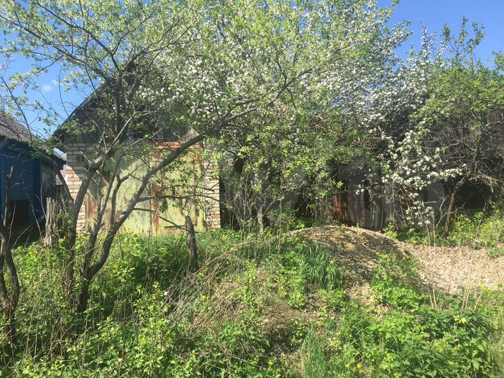 Участок 24 сот. (СНТ, ДНП)