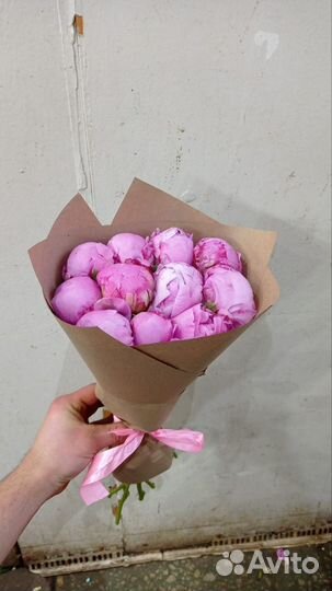 Букет из пионов Сара Бернард