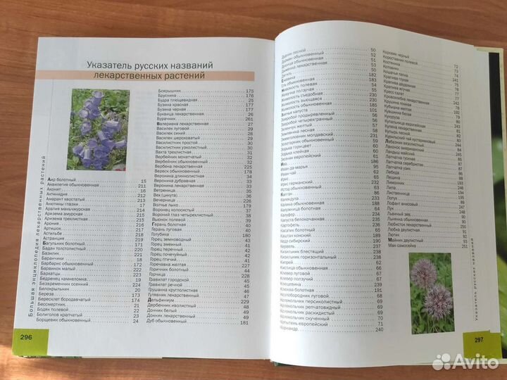 Энциклопедия лекарственных растений