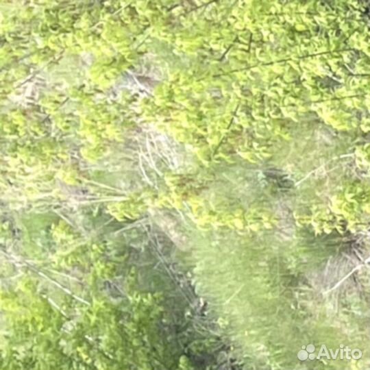 Труба металлическая 299х8 мм