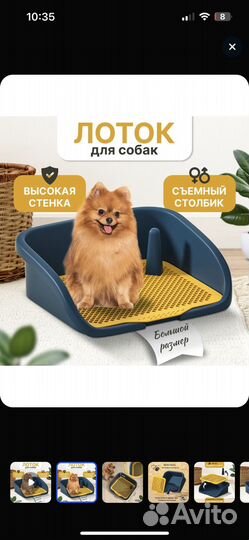 Лоток туалет для собак