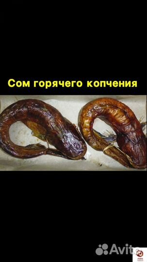 Домашняя копченая рыба