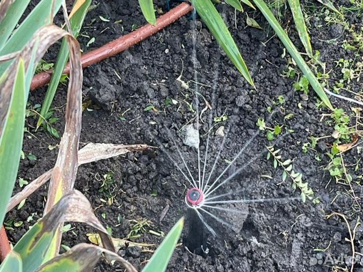 Ремонт автополива, автополив, монтаж автополива