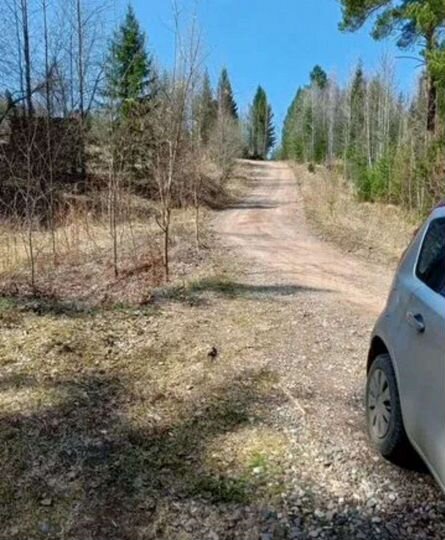 Участок 10 сот. (СНТ, ДНП)