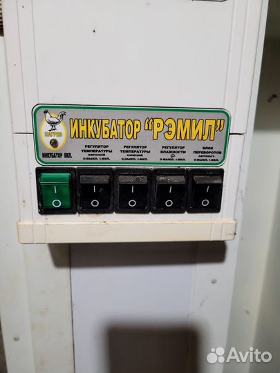 Инкубатор рэмил