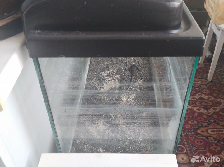 Аквариумные рыбки