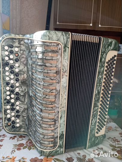 Баян Вельтмейстер