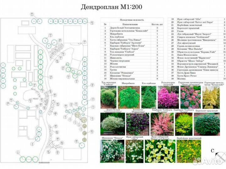 Ландшафтный проект дачного участка