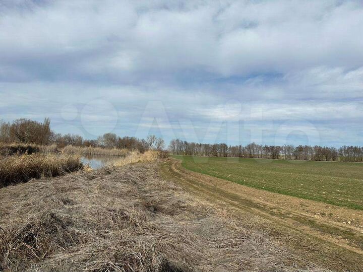 Участок 2,95 га (СНТ, ДНП)