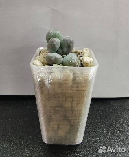 Горшочки для суккулентов