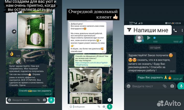 Мох стабилизированный. Картина