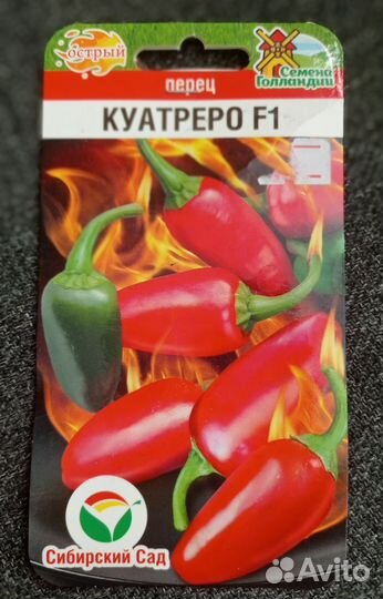 Рассада острого перца