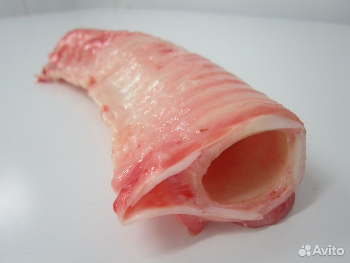 Мясо и субпродукты для животных