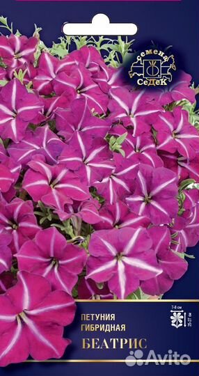 Семена Петунии более 70 сортов на складе доставка