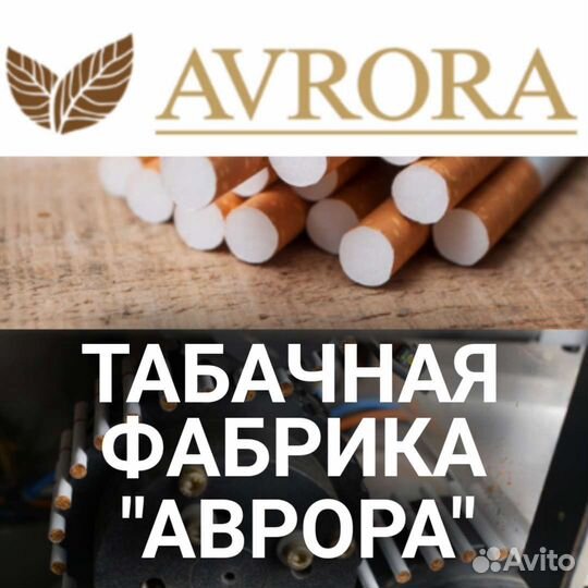 Супервайзер торговых представителей