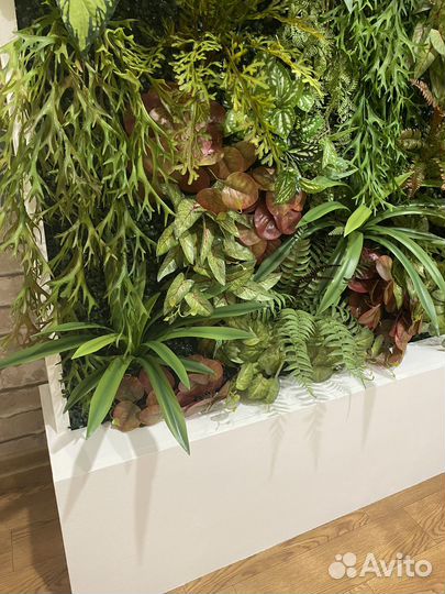 Перегородка в салон красоты