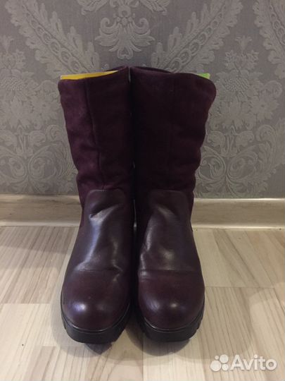 Сапоги осень весна женские