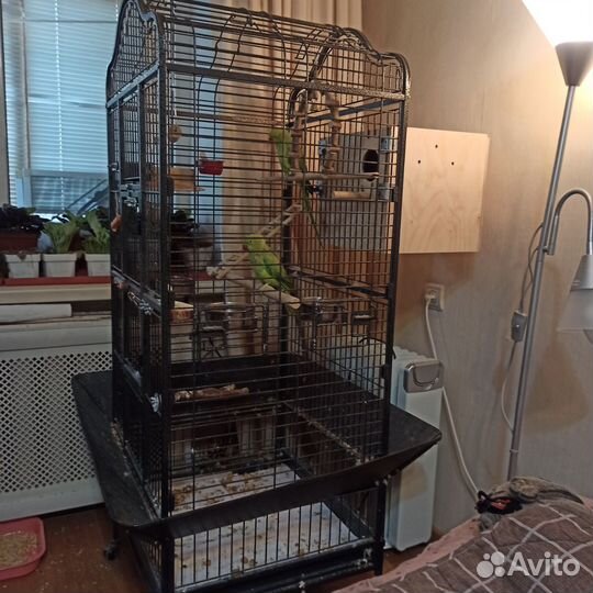 Клетка для попугая
