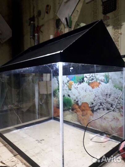 Террариум для змей, хамелеон, ящер