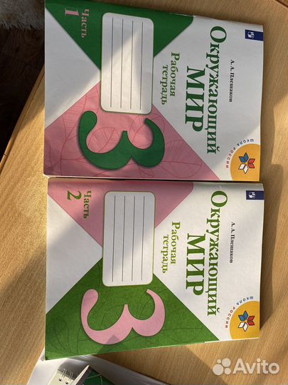 Рабочая тетрадь по окружающему миру 3 класс