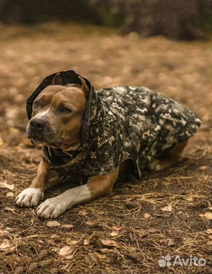 Попона для собак