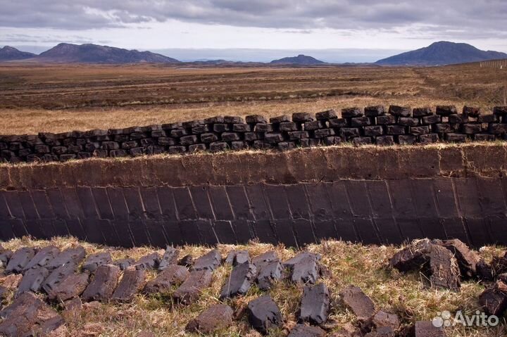 Торф низинный