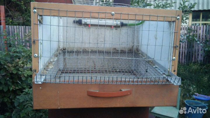 Клетка для перепелок