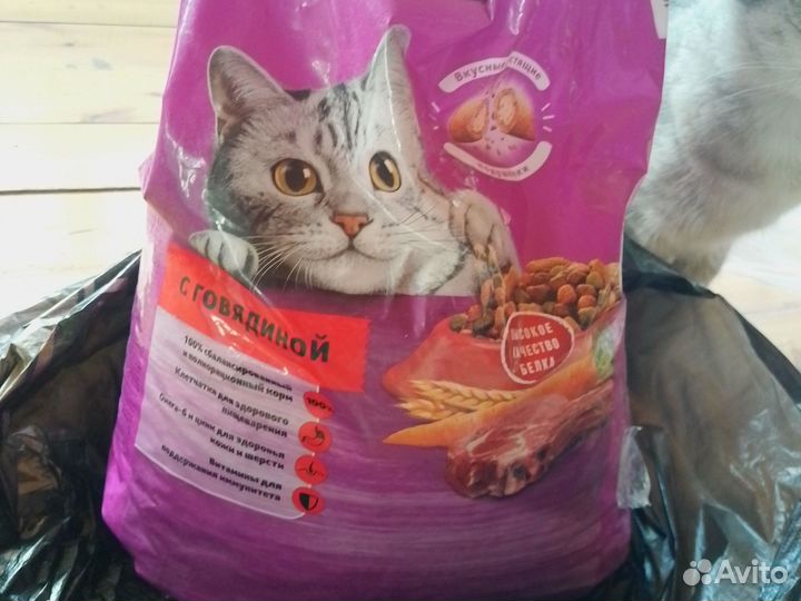 Китикет корм 4 кг и 800 гр