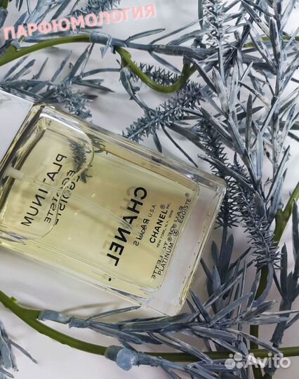 Chanel Egoiste platinum