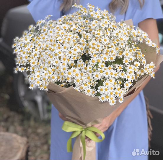 Ромашки цветы букеты