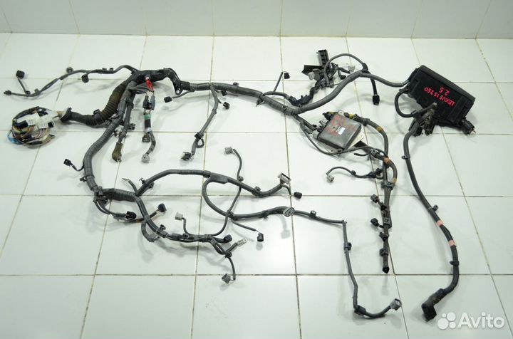 Проводка двигателя Lexus Is250 GSE25 2.5 4grfse