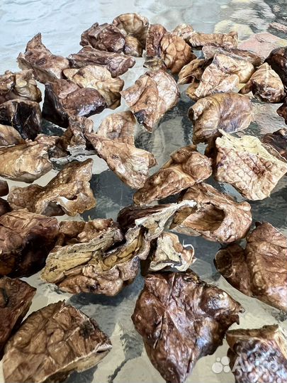 Легкое говяжье сушеное