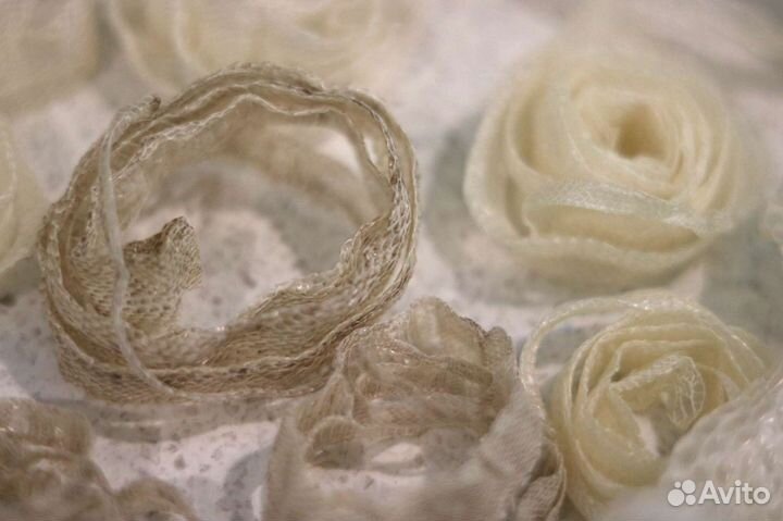 Змеиные выползки