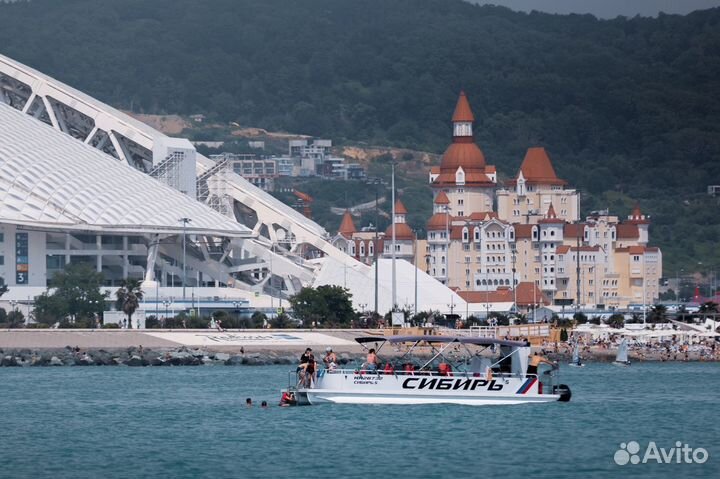 Аренда катера Сириус, морские прогулки к дельфинам